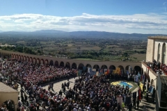 Offerta Olio Lampada San Francesco