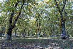 Seconda Passeggiata Laudato Sì - 24 ottobre 2021